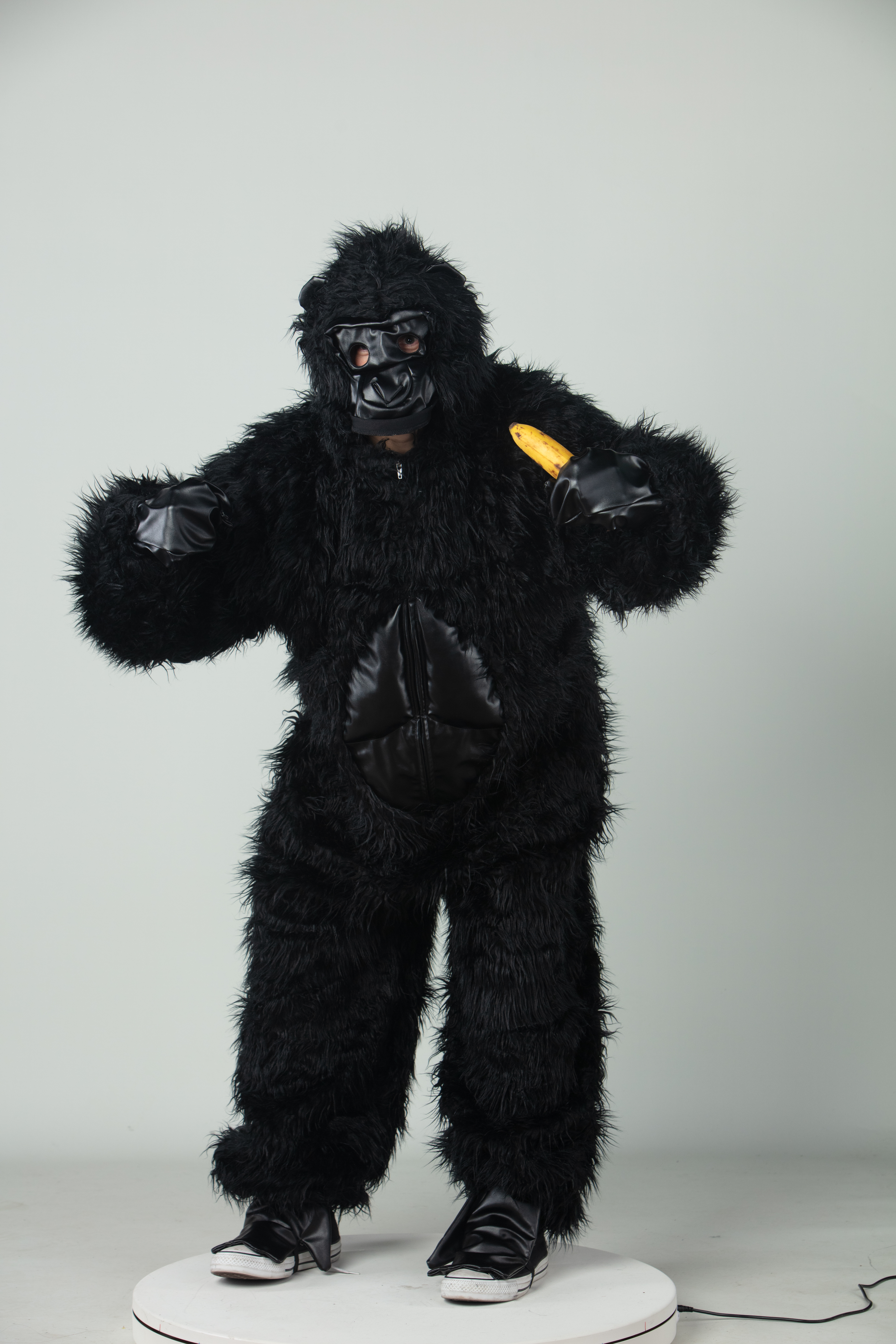 Gorilla schwarz
