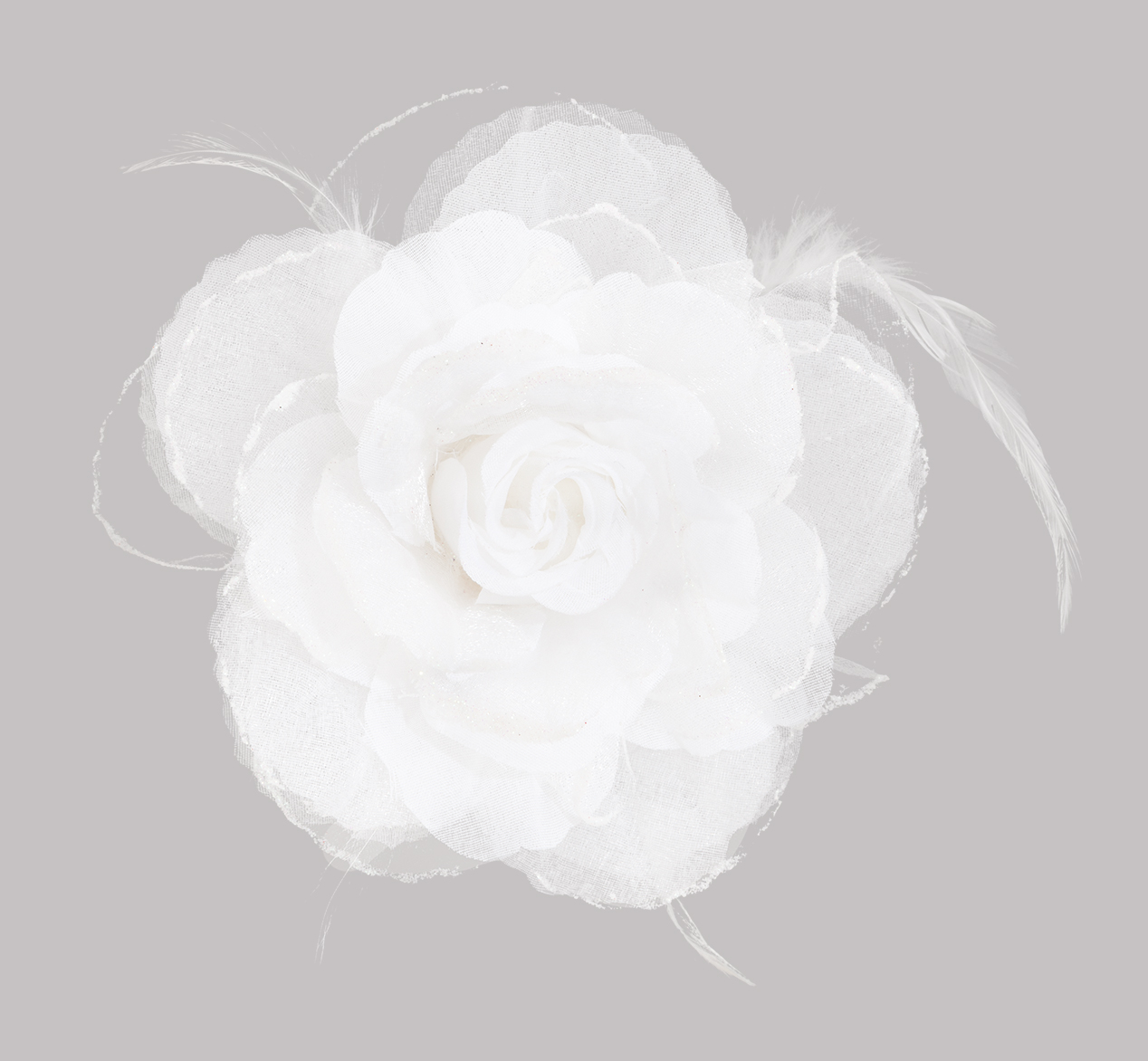 Ansteckblume, weiß