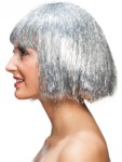 Hollywood wig, silver