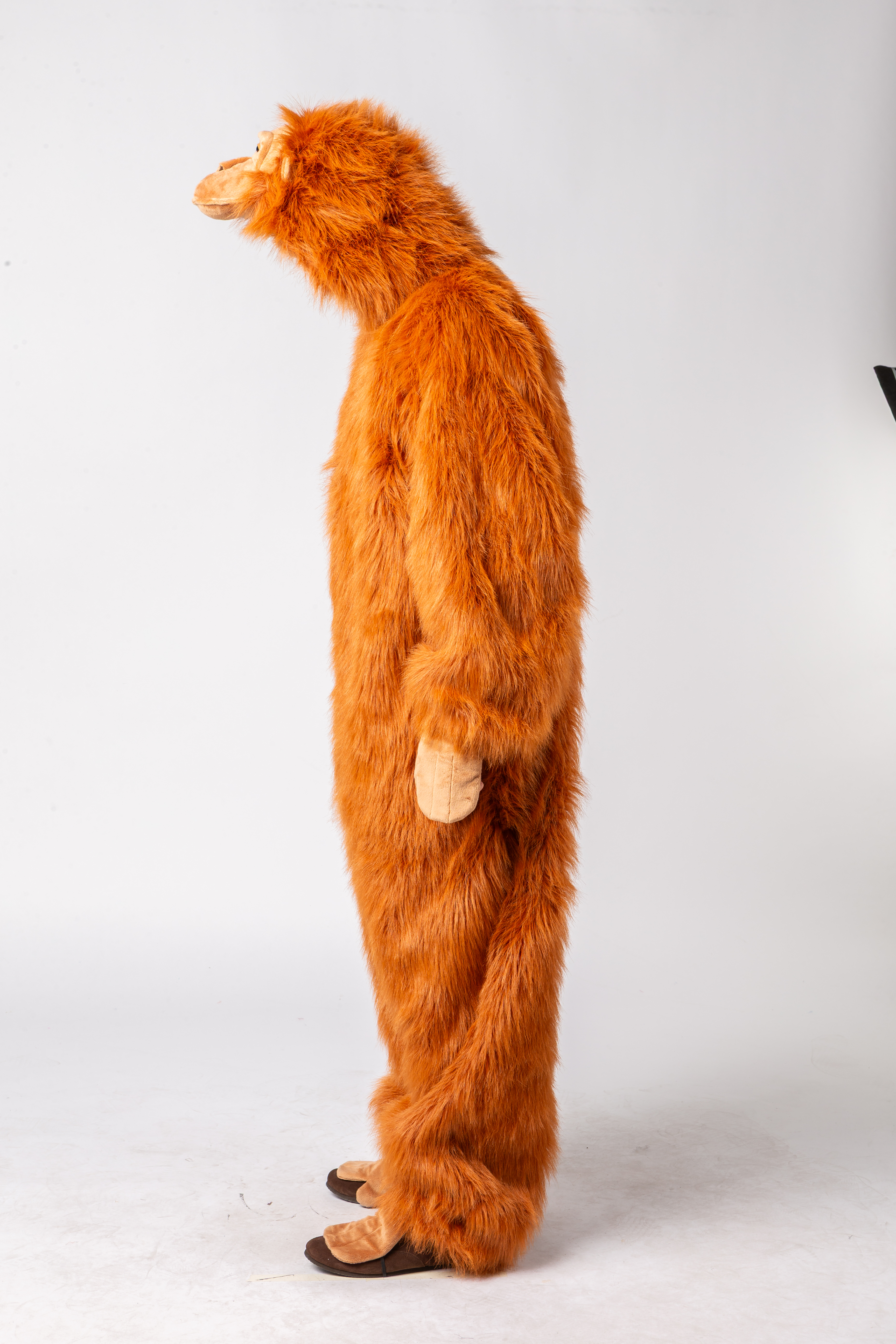 Orang-utan