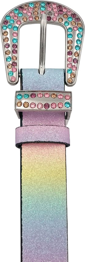 Glitter belt, rainbow