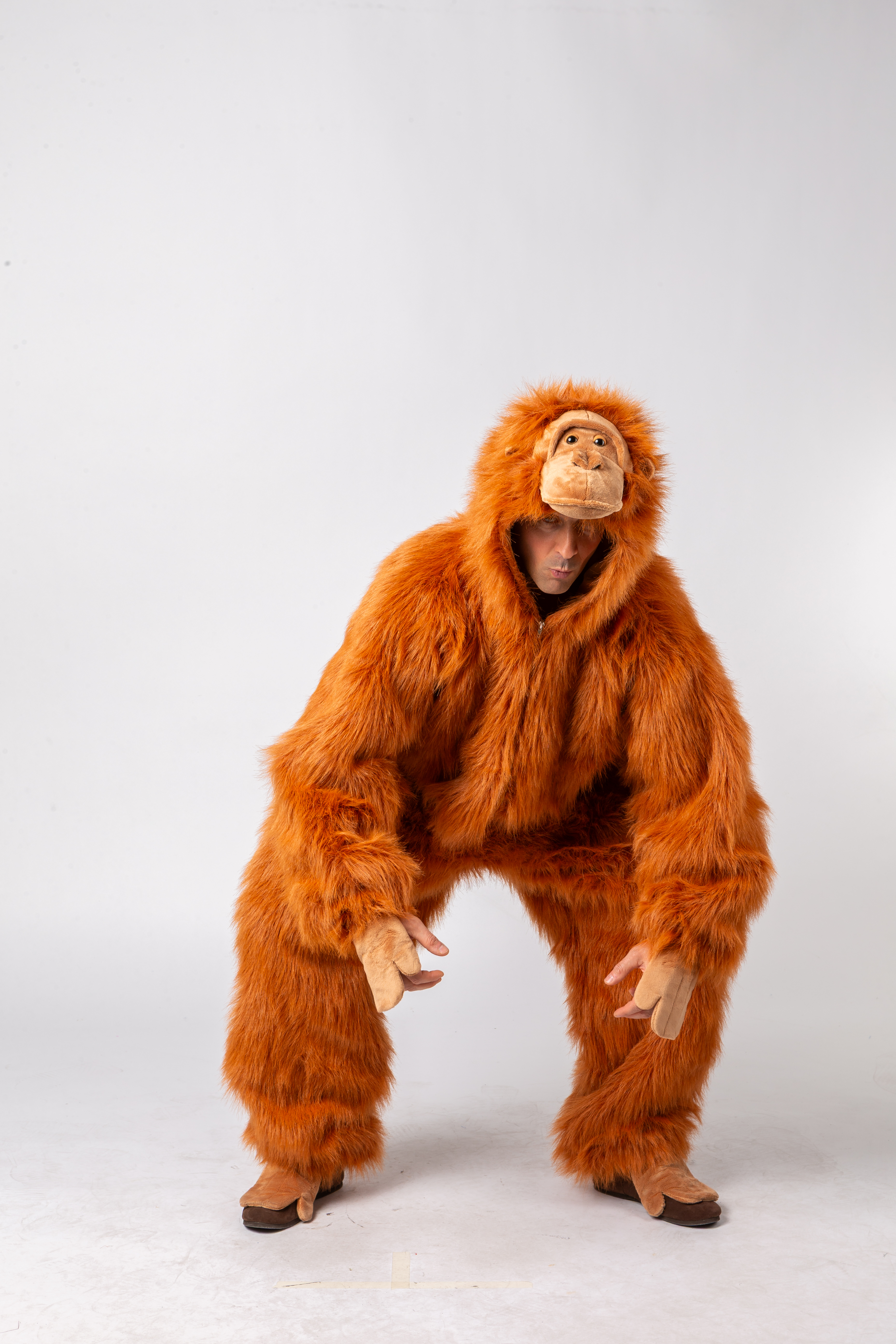 Orang-utan
