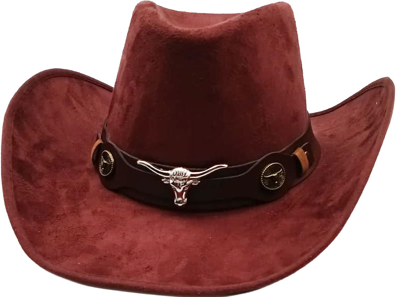 Nashville Western hat, brown