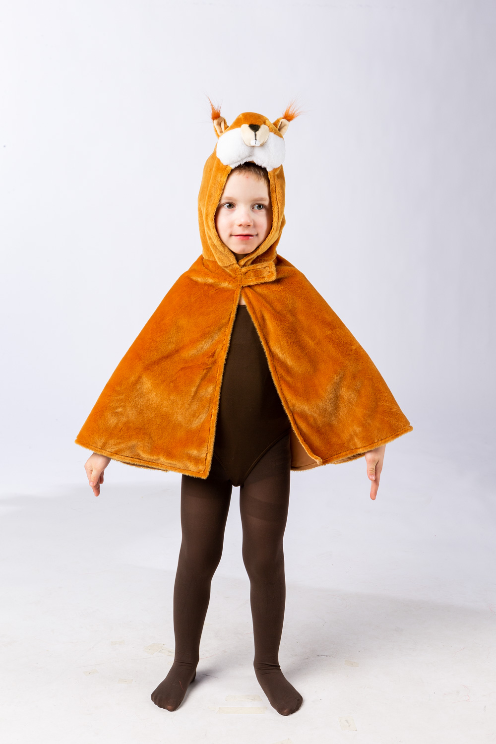 Eichhörnchen Cape 104