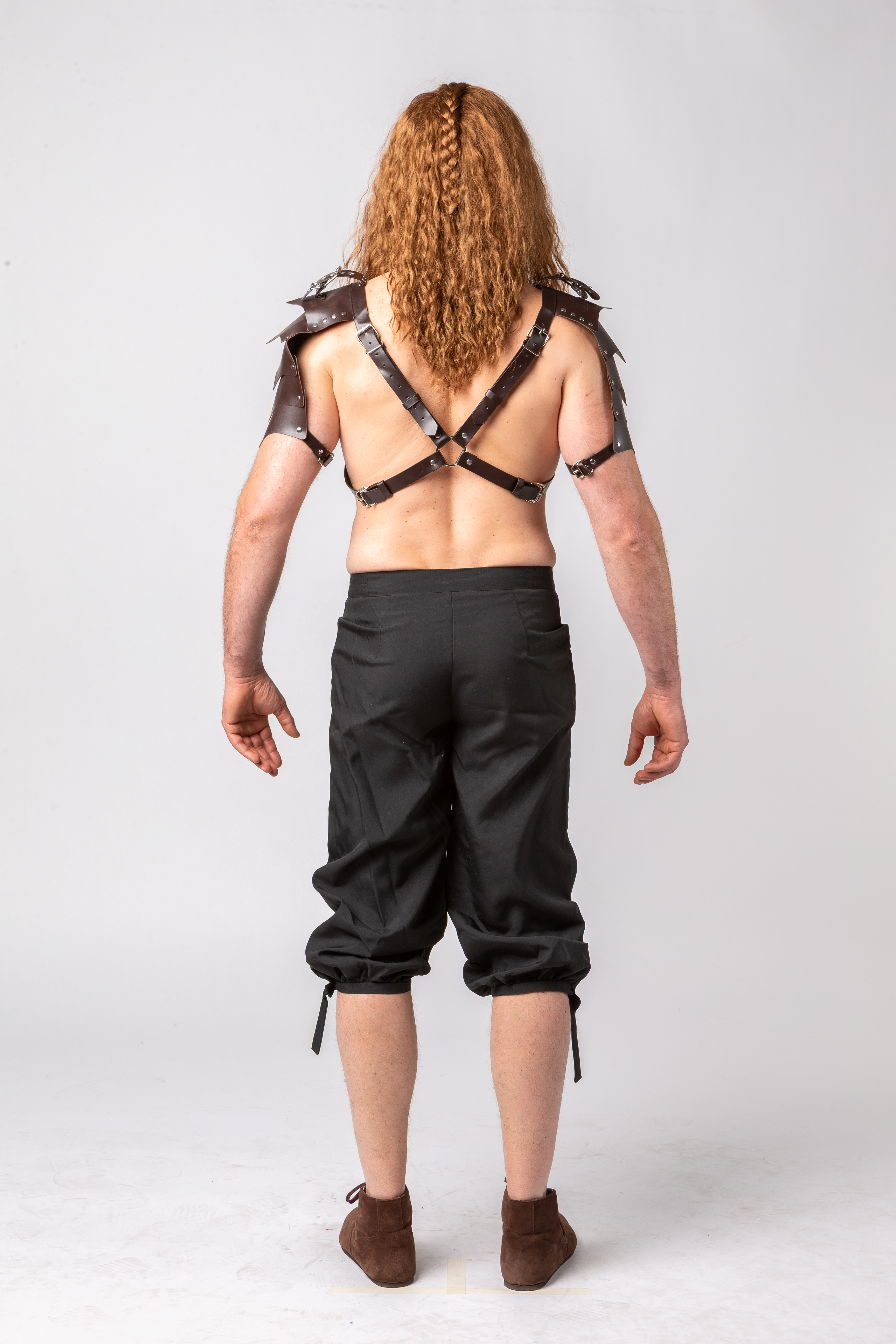 Protektoren Vikinger