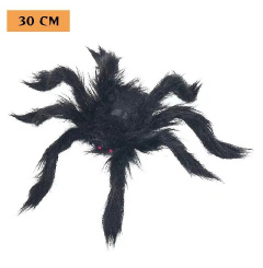 Spider hairy, black