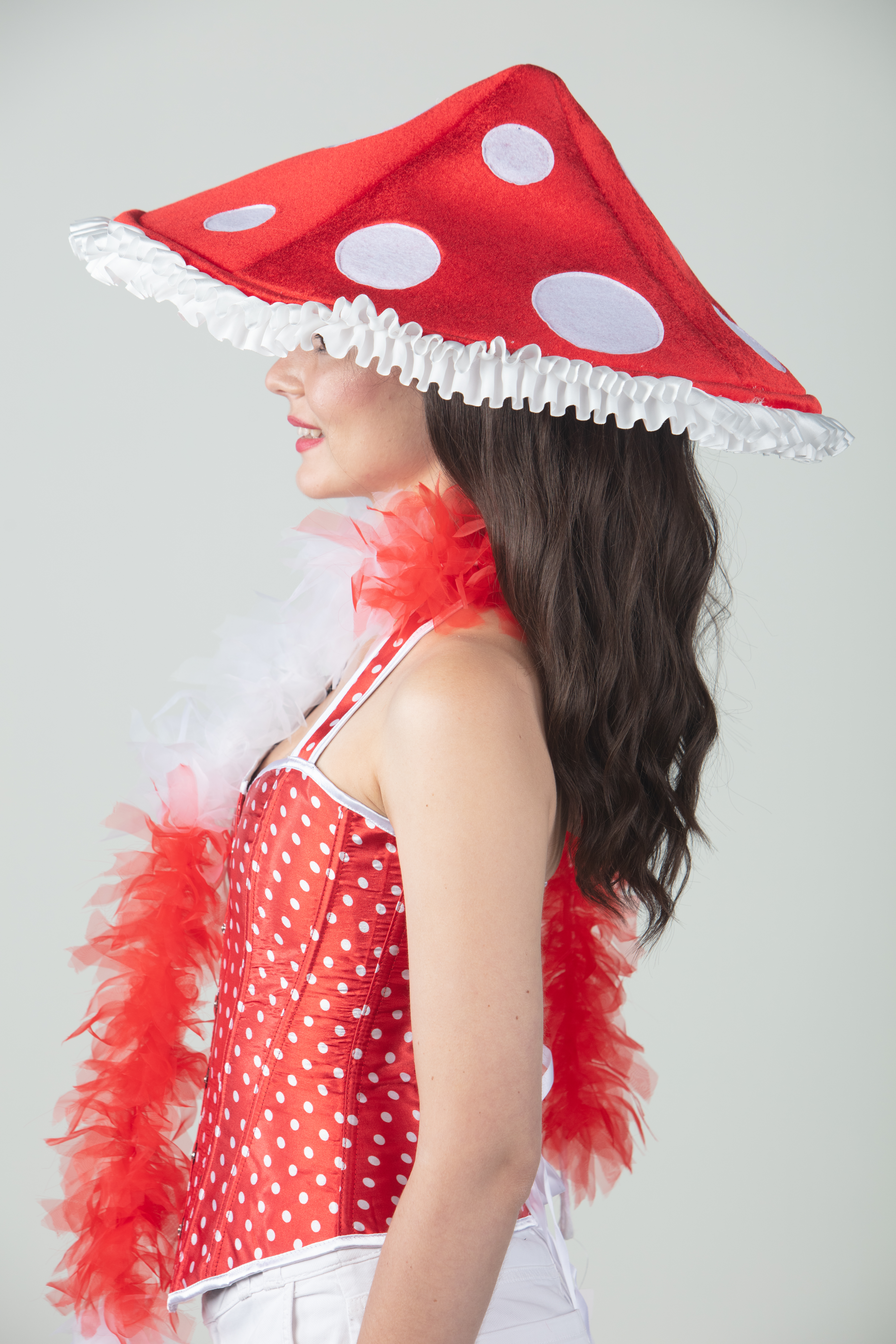 Chapeau amanite tue-mouches