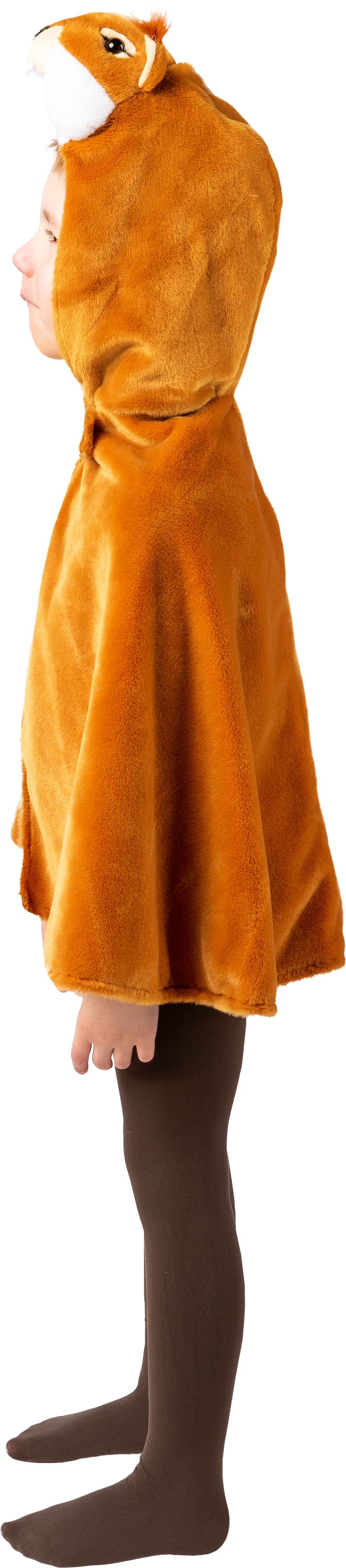 Eichhörnchen Cape 104