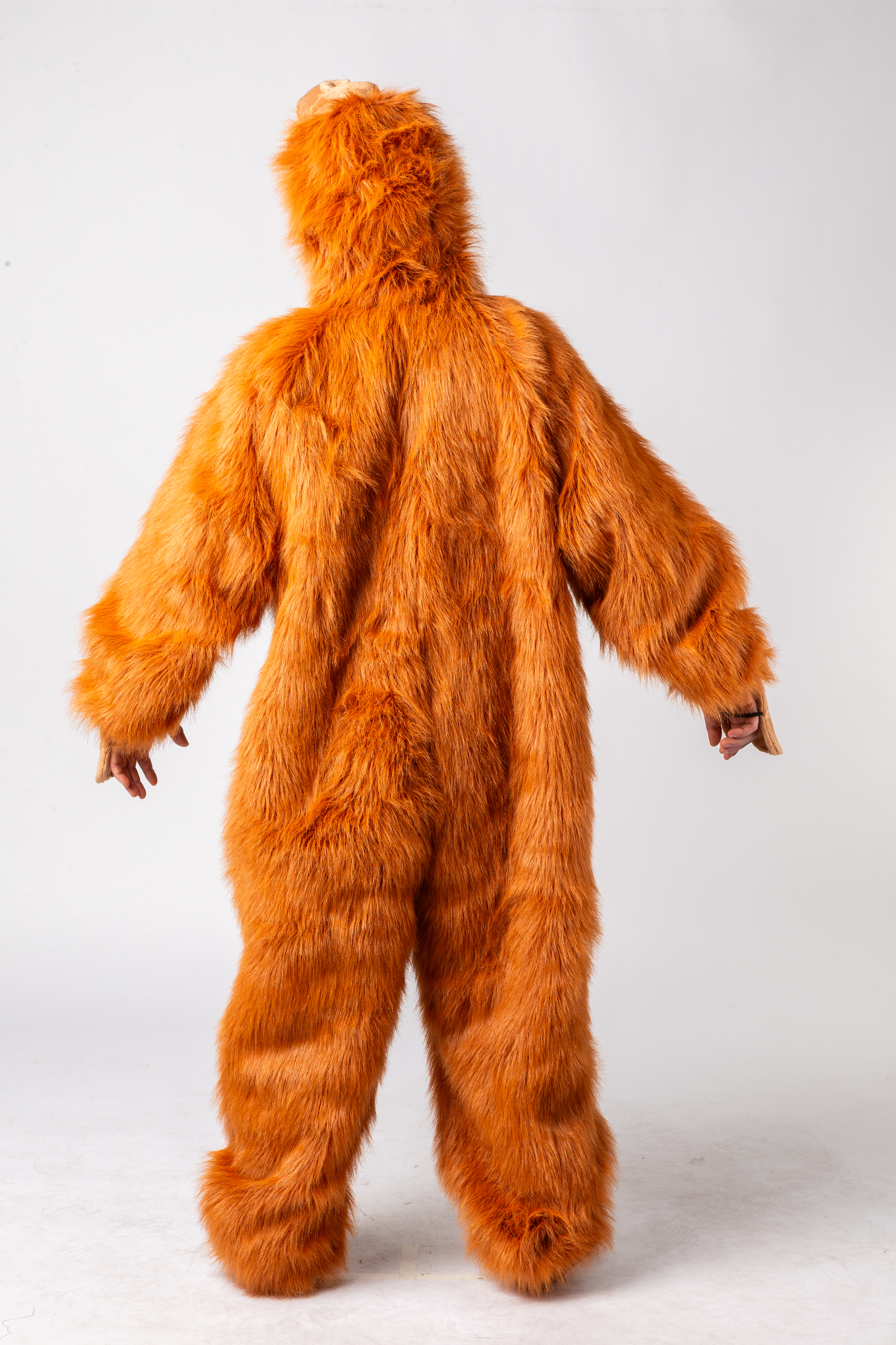 Orang-utan