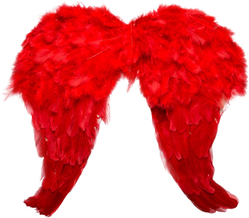 Feather wings, red 