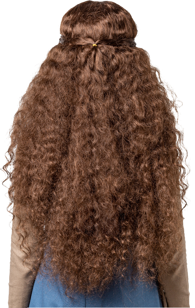 Long hair wavy wig, brown