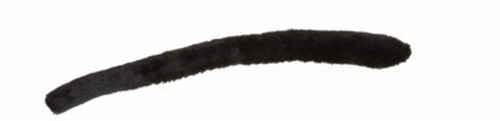 Katzenschwanz, schwarz