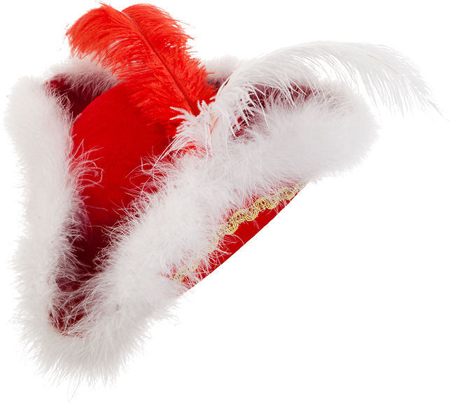 Chapeau tricorn, rouge à plumes et bordure